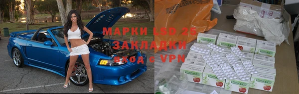 ГАЛЛЮЦИНОГЕННЫЕ ГРИБЫ Алексеевка