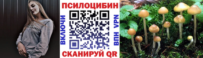 наркошоп  Каргат  Псилоцибиновые грибы Psilocybine cubensis 